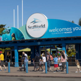 Add your image here (2)